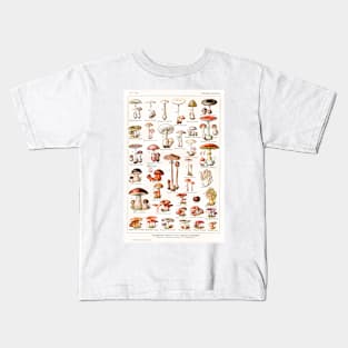 A variety of mushroom species Kids T-Shirt